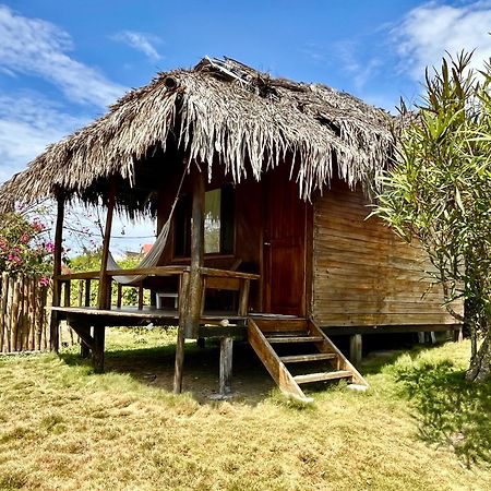 Kamala Surf & Backpacker Hostel มอนตาญิตาร์ ภายนอก รูปภาพ