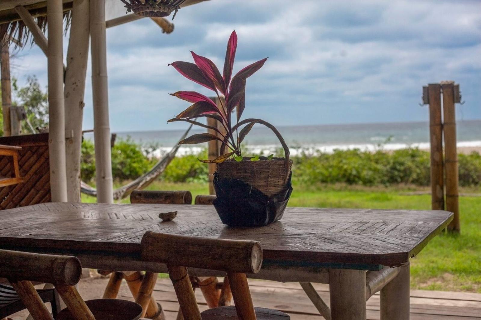 Kamala Surf & Backpacker Hostel มอนตาญิตาร์ ภายนอก รูปภาพ