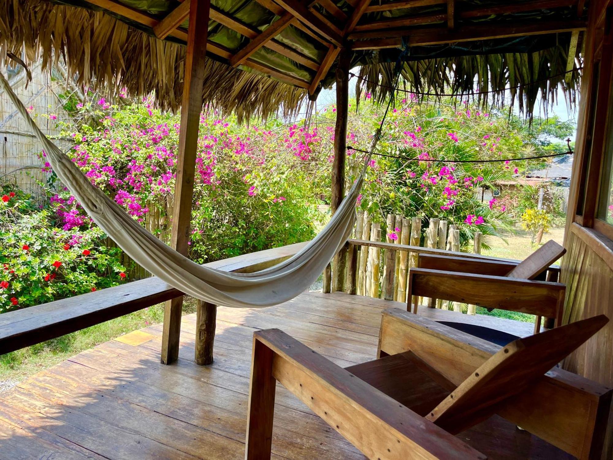 Kamala Surf & Backpacker Hostel มอนตาญิตาร์ ภายนอก รูปภาพ