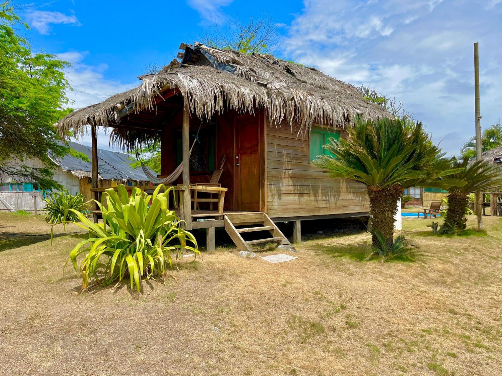 Kamala Surf & Backpacker Hostel มอนตาญิตาร์ ภายนอก รูปภาพ